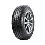 HIFLY HT601 VIGOROUS