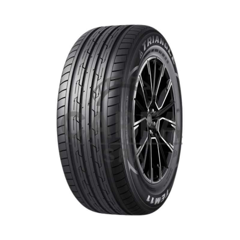 TRIANGLE TE301 (1)
